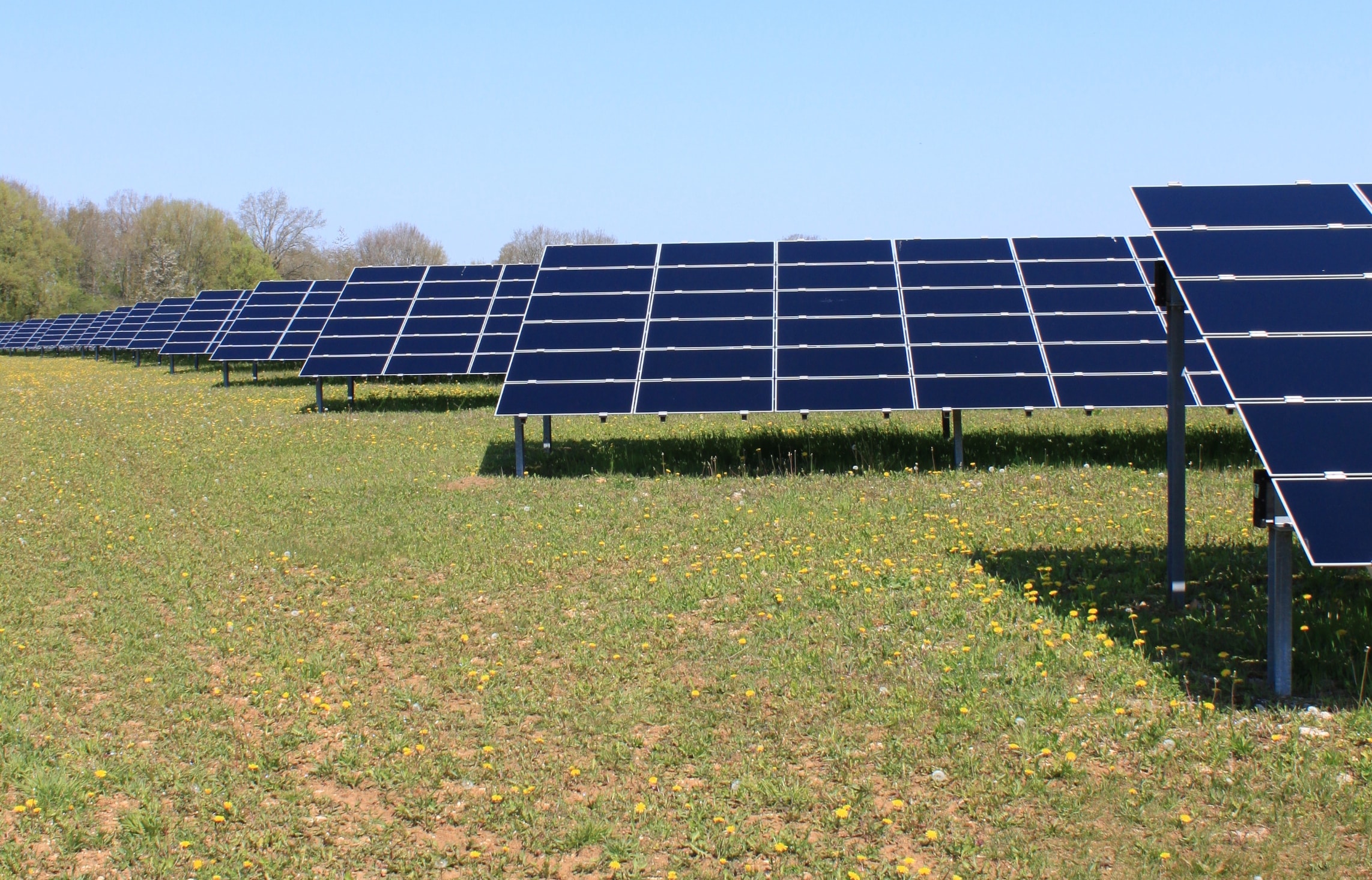 Déclaration de projet emportant mise en compatibilité - Parc photovoltaïque de "Panifol", Saint-Salvy-de-la-Balme